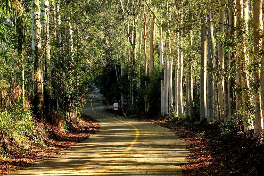 Pousada Sitio Do Sossego Monte Alegre do Sul Dış mekan fotoğraf